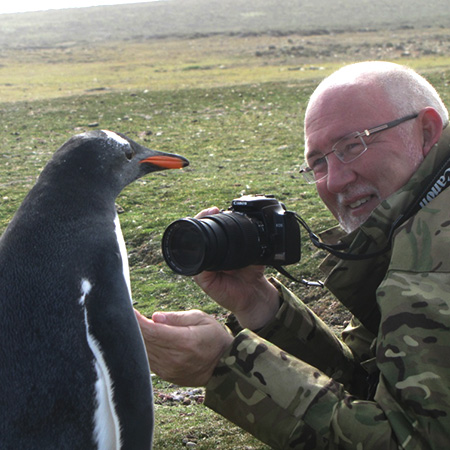 Falklands